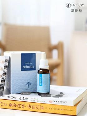 捷克energy安能聚内壮刺蒺藜能源&胶囊款
