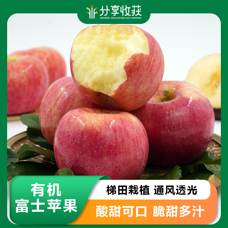 有机富士苹果 | 公平贸易 | 基地直发*Organic Fuji Apples