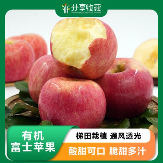 有机富士苹果 | 公平贸易 | 基地直发*Organic Fuji Apples 商品图0