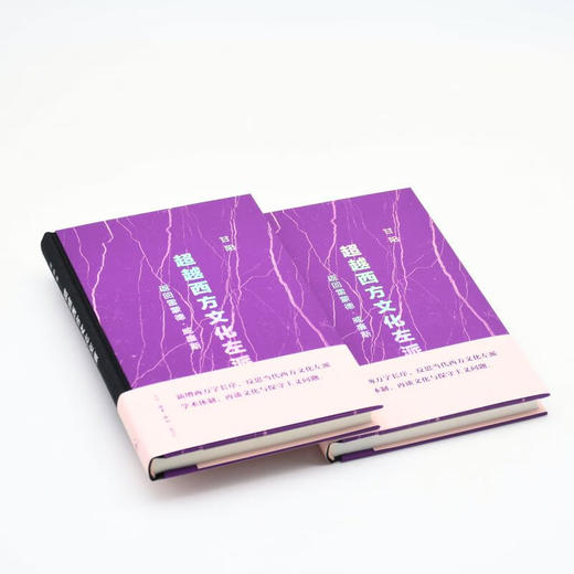 超越西方文化左派：返回雷蒙德•威廉斯  甘阳 著 “文化：中国与世界”新论丛书  三联书店旗舰店 商品图2