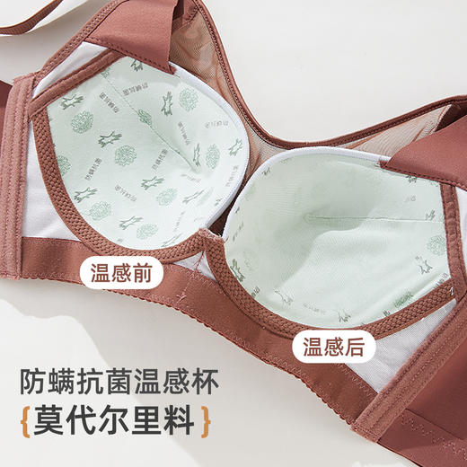 2025无钢圈文胸DYW5184 商品图4