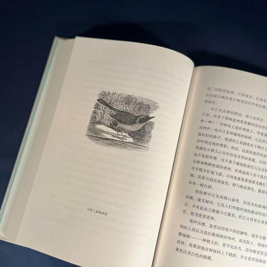 醒来的森林(二版) 约翰·巴勒斯 著 美国自然文学译丛 三联书店旗舰店 商品图1