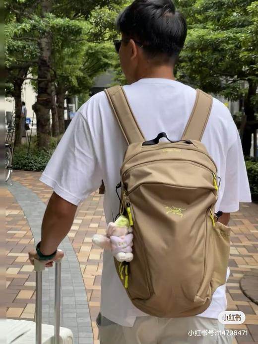 始_祖鸟加厚日常登山户外旅游行李16L双肩背包 商品图12