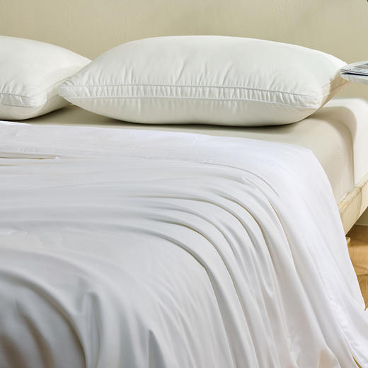 [水星家纺]天赋长绒棉A类抗菌桑蚕丝被(200cm×230cm) 商品图4