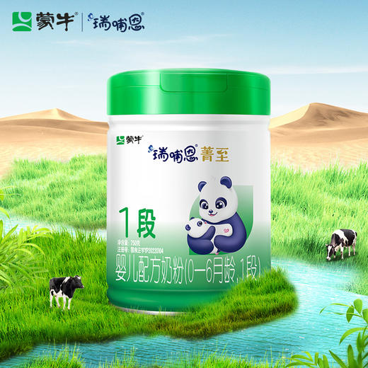 瑞哺恩菁至1段婴儿配方奶粉750g（2025版） 商品图2