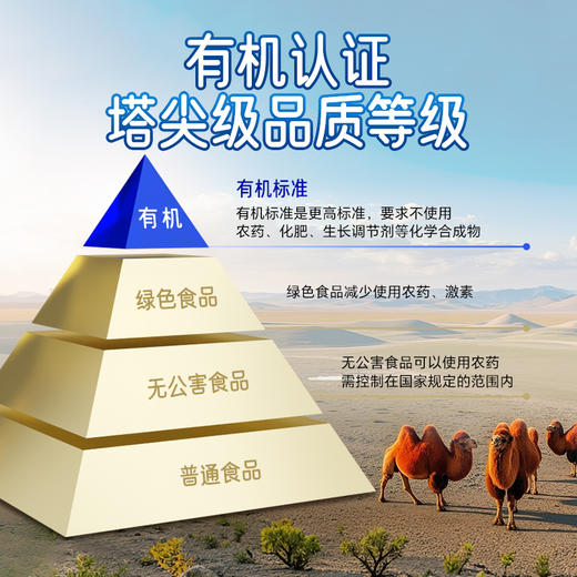 【自营】英格苏有机驼鲜奶10瓶装  200ML/瓶 NM 商品图8