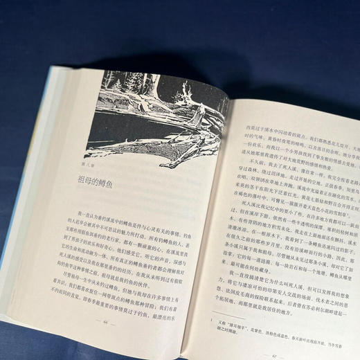 低吟的荒野(二版) 西格德·奥尔森 美国自然文学译丛 三联书店旗舰店 商品图1