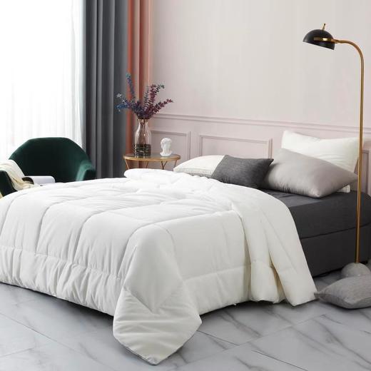 【春上新】10楼恐龙  雅致舒柔大豆被-白   吊牌价1380-1980元   活动价199-299元 商品图0