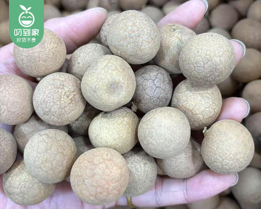 莆田桂圆干/1包（约500g）生产日期：3月25日左右 商品图5