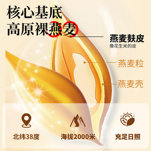 人参黄芪麦麸粥300g 商品图1