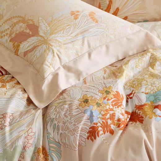 【6F】罗莱·雅 柔心秋野 DY3362-4	米色 商品图6