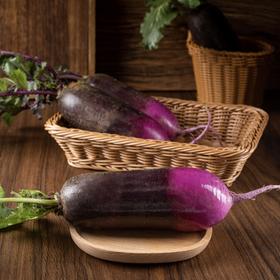 潍坊水果萝卜 4.8-5斤