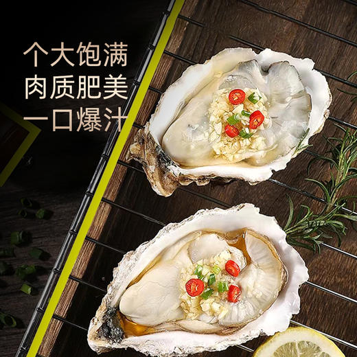乳山牡蛎 乳山生蚝 国家地理标志产品 五斤装（京东快递发货） 商品图2