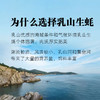 乳山牡蛎 乳山生蚝 国家地理标志产品 五斤装（京东快递发货） 商品缩略图4