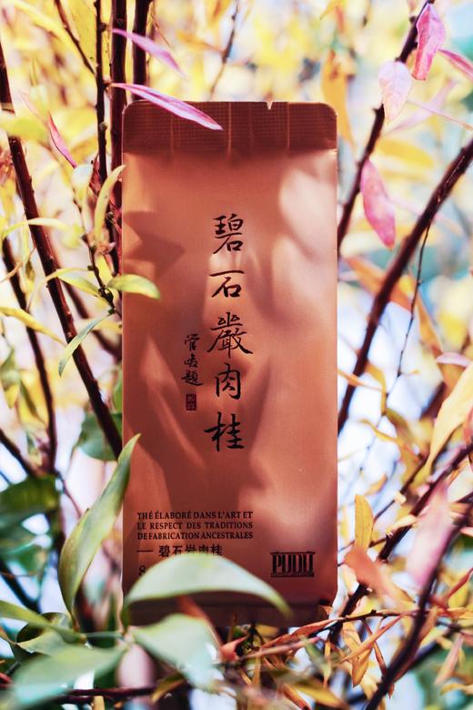 碧石岩肉桂 商品图4
