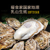 乳山牡蛎 乳山生蚝 国家地理标志产品 五斤装（京东快递发货） 商品缩略图3