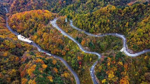 10.24确定出发【秋摄秦巴】红叶大道•光雾山•龙头山•黎坪红叶9天 商品图13