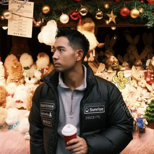 迪桑特15D牛奶皮Pu字母微标印花图案立领羽绒服 商品图2