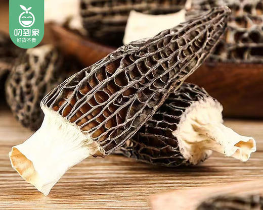 云南精选头茬小羊肚菌（干货3-6cm）/1包（约100g）生产日期：26年3月 商品图4