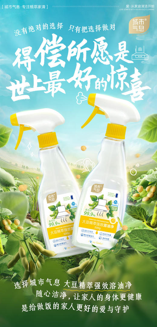 大豆精粹强效溶油净 商品图1