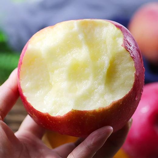 山西膜袋红富士苹果，脆嫩多汁、甜润回甘 商品图9