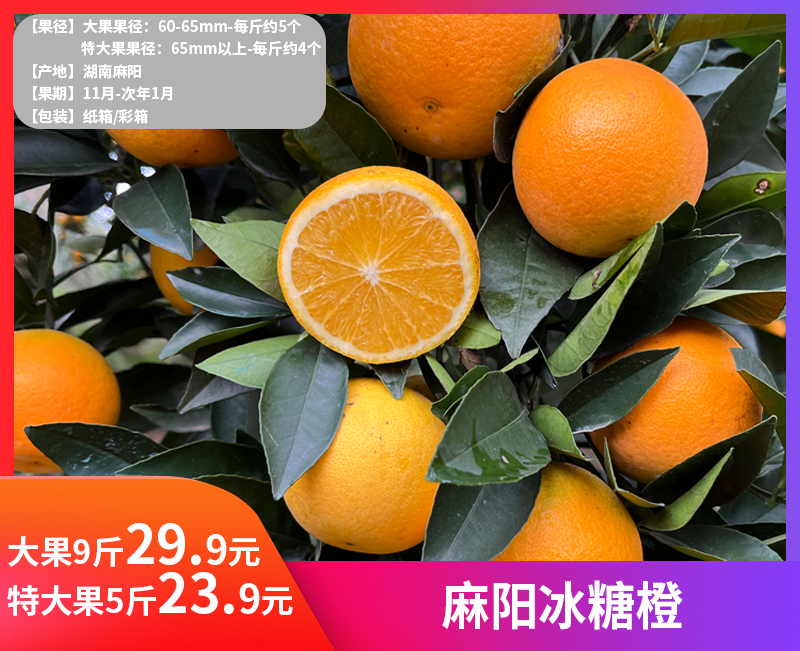 【麻阳冰糖橙】✔️🍊麻阳冰糖橙也叫“冰糖泡”，因甜似冰糖而得名，因其自然生长高山，成熟的橙子表皮带点“麻”点和花皮。-TTSG