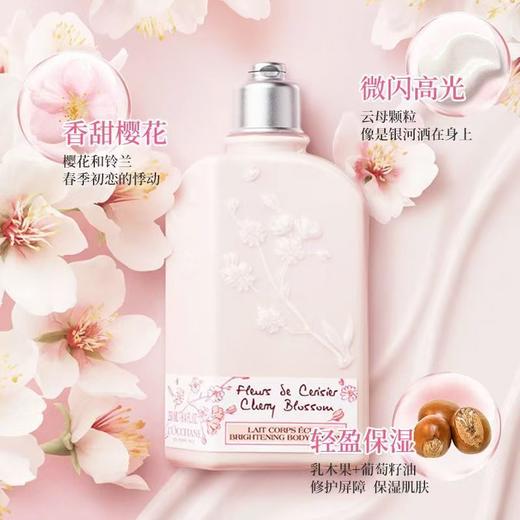 赠4.5g乳木果特润唇膏【保税仓直发】欧舒丹樱花身体乳保湿留香润肤乳留香樱花沐浴露250ml身体乳250ml 商品图2