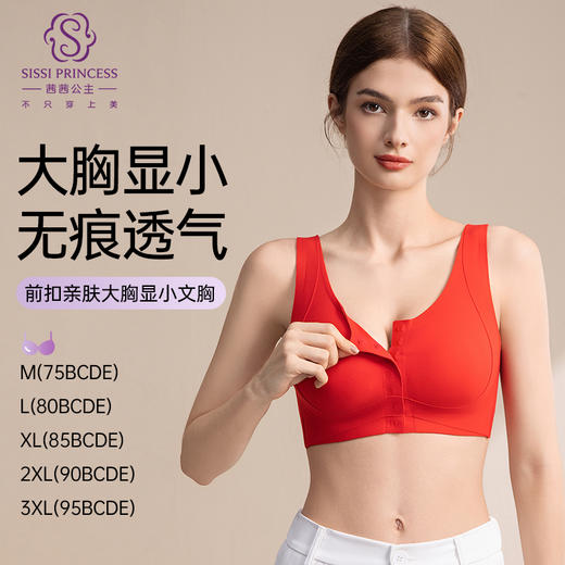 前扣亲肤大胸显小文胸 商品图2