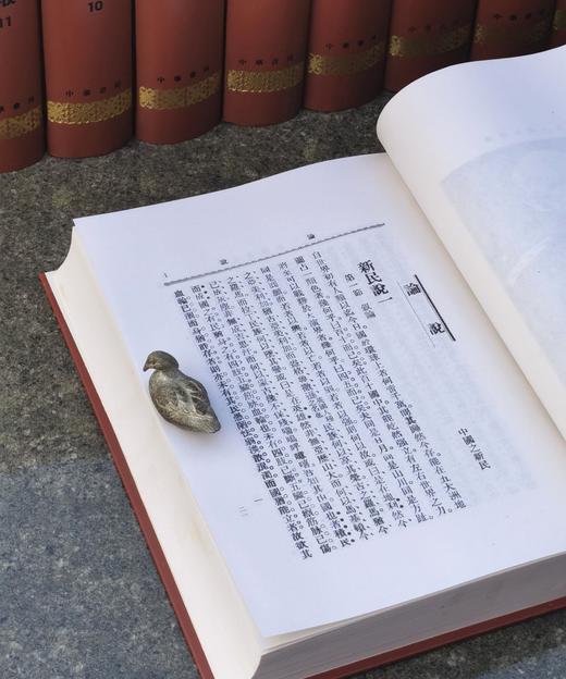 重磅！！《新民丛报》，精装，16开，全14册，梁启超主编，中华书局2008年一版一印，13380页，定价4800，售价：1680元 商品图9