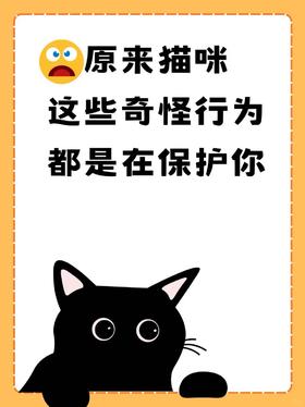 感动哭了！原来猫咪这些行为在偷偷保护你！