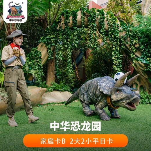 2026年恐龙园家庭卡B 2大2小平日卡(法定节假日不可用) 商品图0