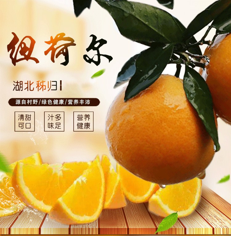 秭归 新溪源 纽荷尔甜橙