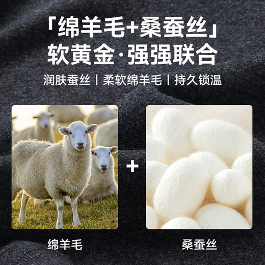 【假两件针织衫】占姆士25秋冬男士圆领针织毛衣假两件衬衫领男士秋冬保暖御寒上衣 商品图1