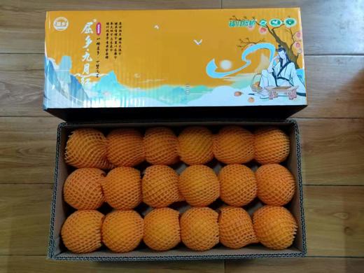 秭归 新溪源 纽荷尔甜橙 商品图2