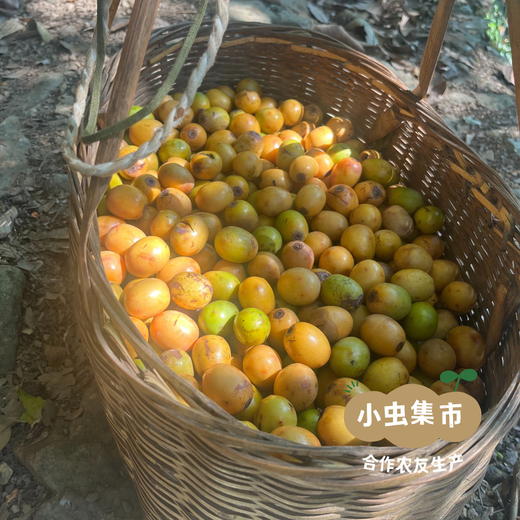 【新品上架】生态酸枣糕系列 （原味/百香果/紫苏）| 合作农友生产，来自福建南平，生产者：黄璇 ＆【公平贸易农人定价】 商品图5