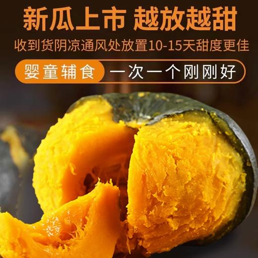 【宜昌助农馆】贝贝南瓜礼盒 带箱5斤单果350-500g礼盒(5-6个） 商品图2