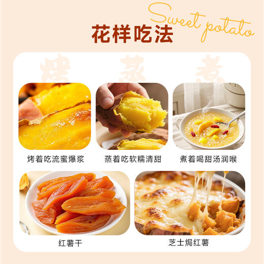 ⁴特别的红薯【榴莲蜜薯4.5斤】软糯无丝可烤可蒸煮YC04-CRMM-SYSC 商品图5