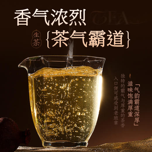 【品鉴装】陈升号 2024年老班章甑品盒装品鉴7g*2（生茶） 商品图3