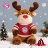 【官方正版】拜仁足球俱乐部丨麋鹿玩偶圣诞节氛围感毛绒周边球迷 商品缩略图0