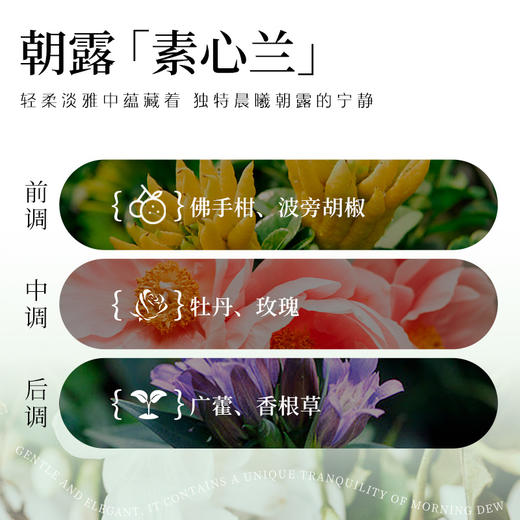 净狮丨衣物除螨除味抗静电三合一喷雾-1瓶2瓶 商品图1