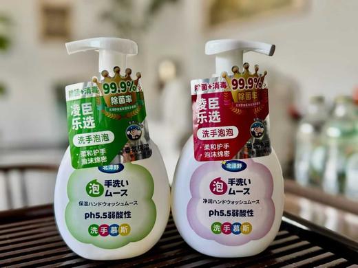 【凌臣乐选自有品牌】北泽野香氛抑菌泡沫保湿净润洗手慕斯250g除菌率99.9% 商品图2
