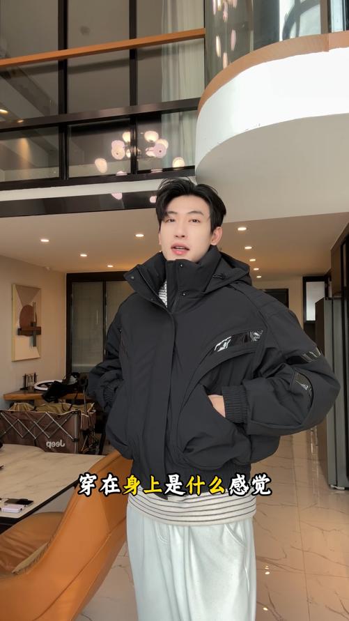 25185SDSA男士秋冬新款痞帅男装潮牌复古拼接拉链立领连帽羽绒服宽松 商品图0