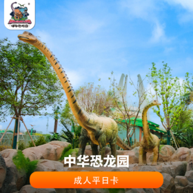 2026年中华恐龙园成人平日卡(法定节假日不可用)