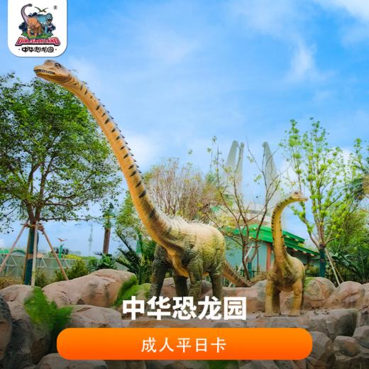 2026年中华恐龙园成人平日卡(法定节假日不可用) 商品图0