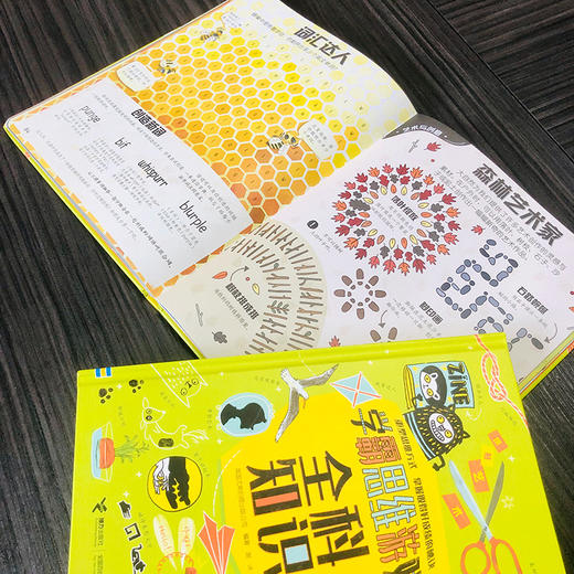 尤斯伯恩:学霸思维游戏（套装2册） 商品图6