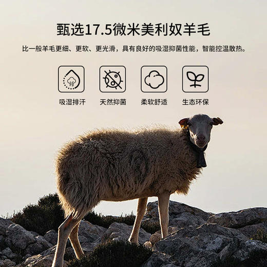 灰壳美利奴天丝羊毛速干衣女户外徒步长美丽诺运动T恤 商品图3