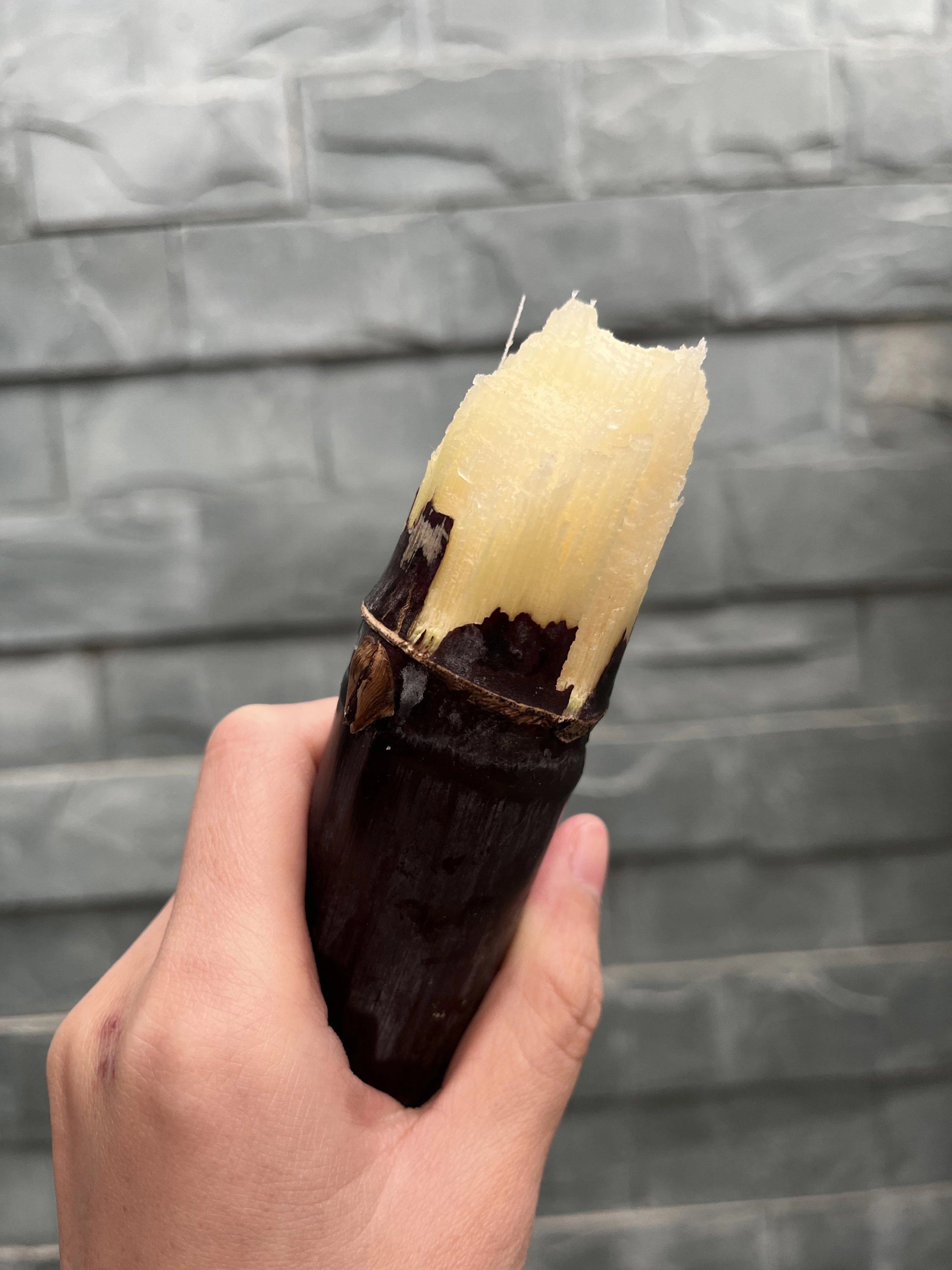 农友直发｜生态甘蔗·我家菜园家庭农场，偏远地区不发，下单后排队发货，普通快递，请耐心等待！