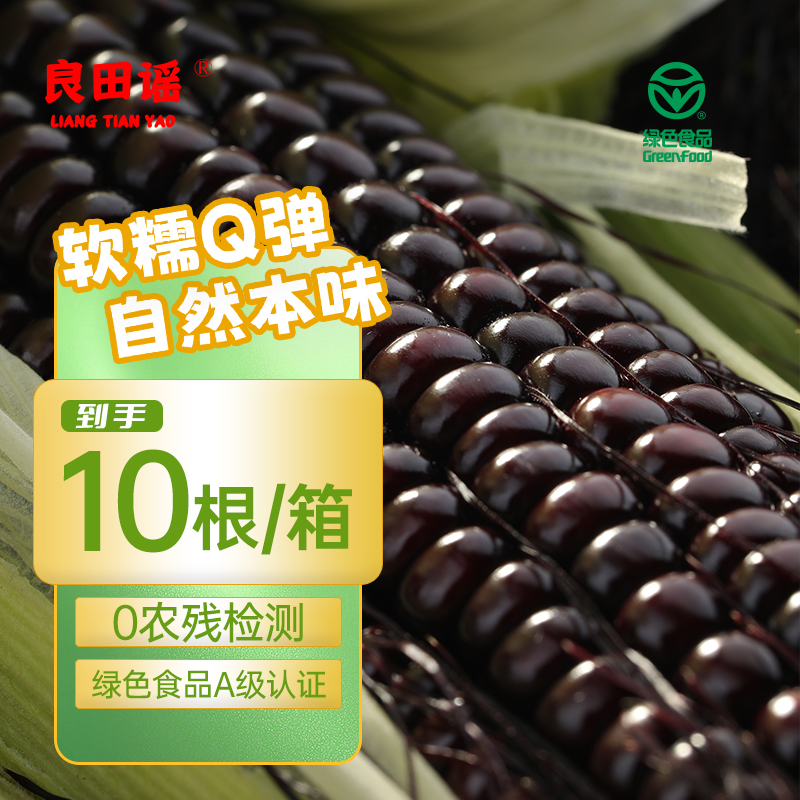 【叮叮优选好物-非自营】良田谣东北糯玉米2025年头茬A级黑糯玉米 （精品礼盒装）