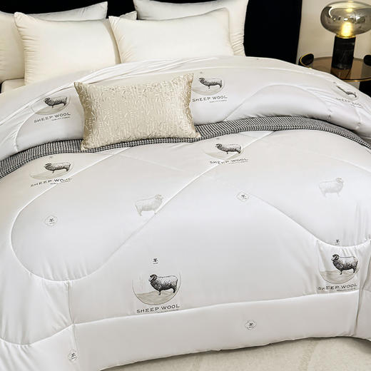 保罗大卫 鄂尔多斯绵柔优质羊毛被180*200cm 商品图2