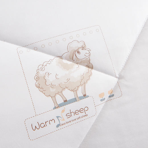 保罗大卫 亲肤透气保暖锁温抗菌羊毛被200*230cm 商品图3